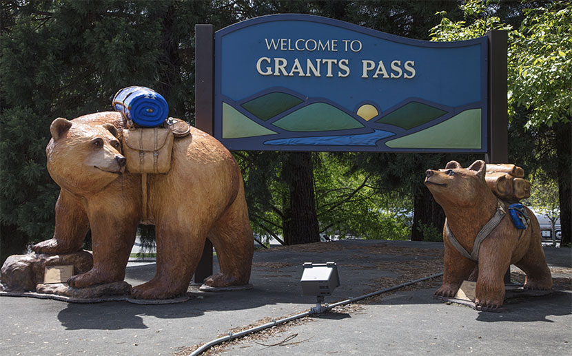 Civil Rights Cases for Criminal Practitioners